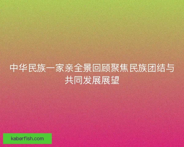 中华民族一家亲全景回顾聚焦民族团结与共同发展展望