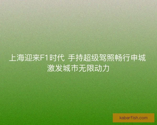 上海迎来F1时代 手持超级驾照畅行申城 激发城市无限动力