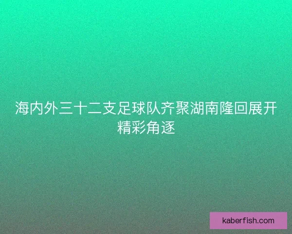 海内外三十二支足球队齐聚湖南隆回展开精彩角逐