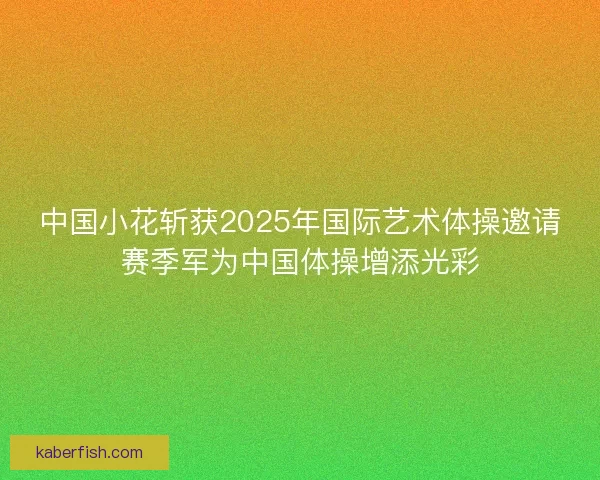 中国小花斩获2025年国际艺术体操邀请赛季军为中国体操增添光彩