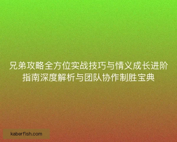 兄弟攻略全方位实战技巧与情义成长进阶指南深度解析与团队协作制胜宝典