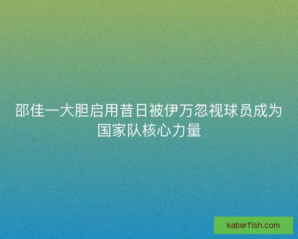 邵佳一大胆启用昔日被伊万忽视球员成为国家队核心力量